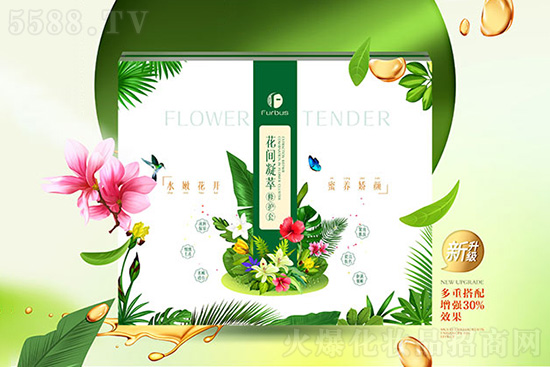 �t(y��)ʩ�����g�������o��