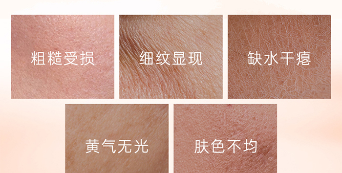 Piccoch����ݝ�(r��n)���ɷ��׺�