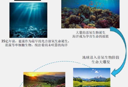 δ��(bi��o)�}-3_02