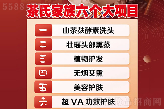 茶氏家族六個(gè)項(xiàng)目 茶氏家族六個(gè)項(xiàng)目
