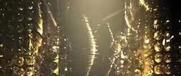 ��֦��AĽ��ɫ���ɴ���