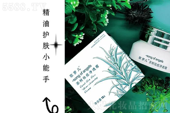 歌蘿兒茶樹祛痘凈透霜 歌蘿兒茶樹祛痘凈透霜